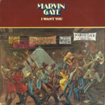 Madalyn Merkey – Puzzle Music LP album cover