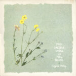 Suni McGrath – Cornflower Suite album cover