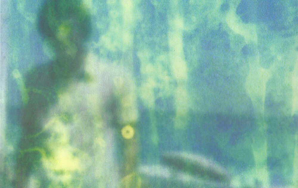 洋楽 BOARDS OF  the campfire head phase Boards Of Canada – The Campfire Headphase – 2 x Vinyl (LP