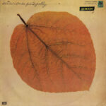 Susumu Yokota – Symbol (Yellow Vinyl) LP album cover