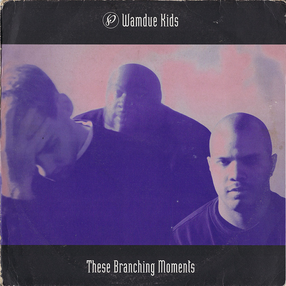 Wamdue Kids – These Branching Moments album cover
