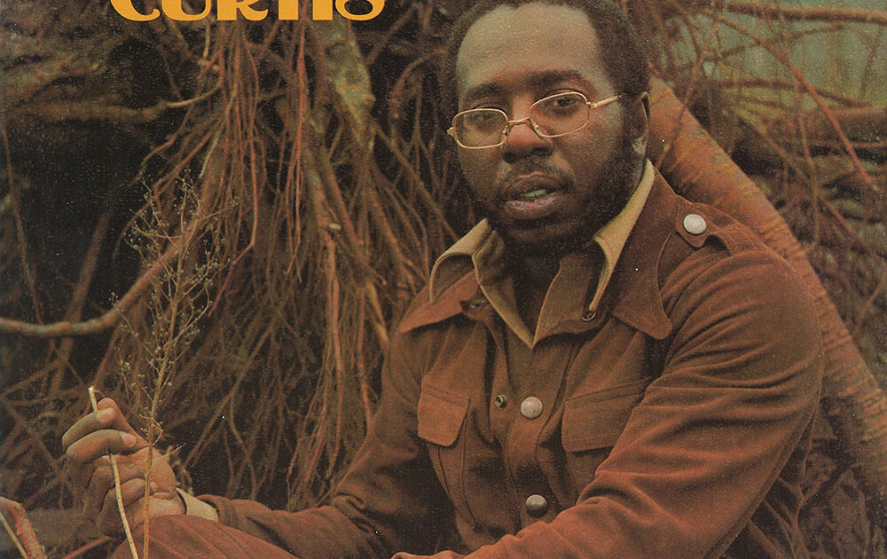 curtis mayfield ROOTS 新品レコード Roots 1LP Orange Vinyl | Rhino Official Store