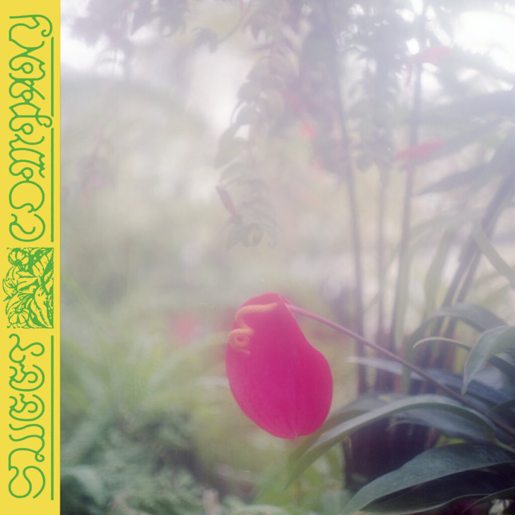 Jabu – Sweet Company album cover