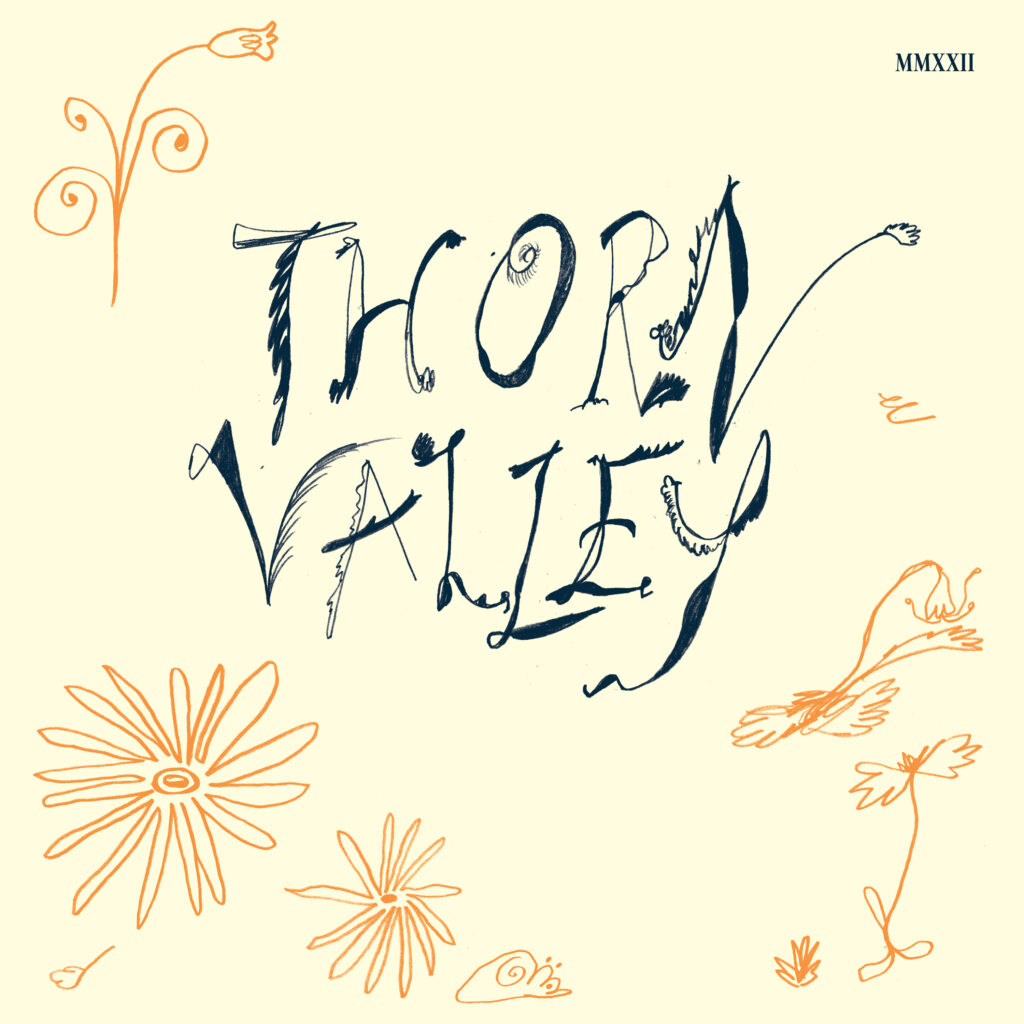 Various – Thorn Valley 2LP product image