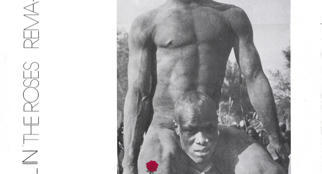 Rema Rema - Wheel in the Roses