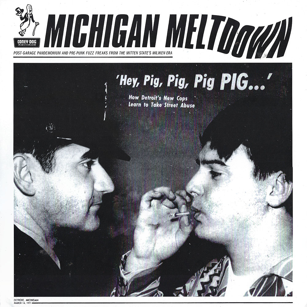 Various Artists – Michigan Meltdown album cover