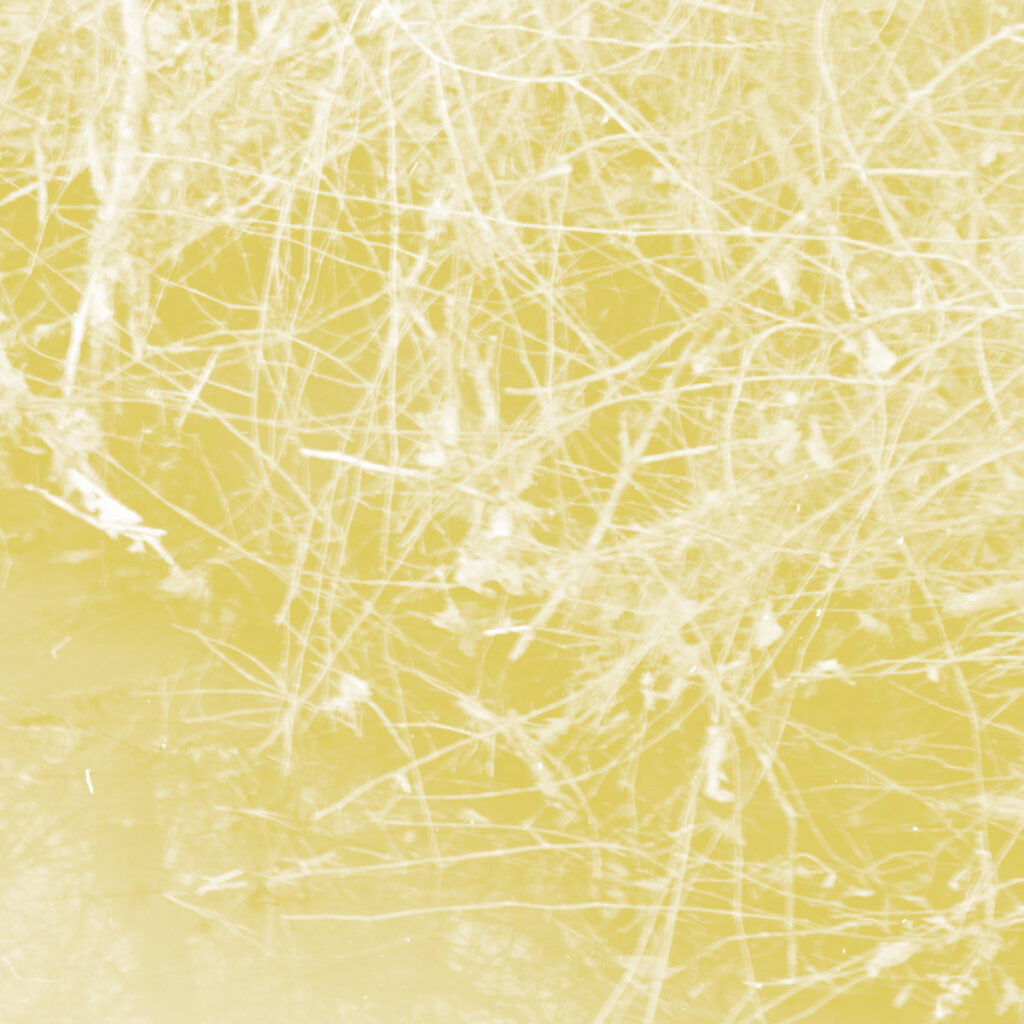 Celer – Cursory Asperses CD product image