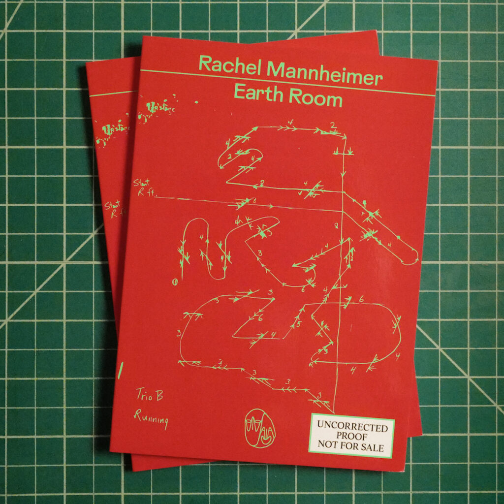 Rachel Mannheimer – Earth Room Book product image