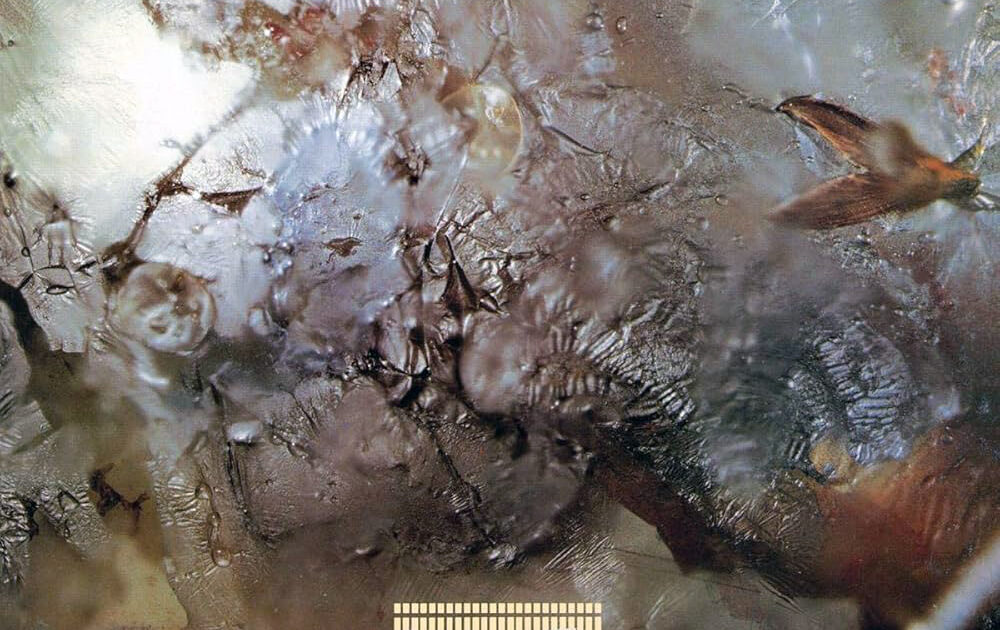 Cocteau Twins – Head Over Heels | In Sheeps Clothing