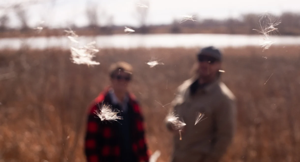 Soft-focus image of two figures standing in a dry field near water, their forms blurred in the background while delicate white seeds drift sharply in the foreground, suspended midair in warm, late-day light.